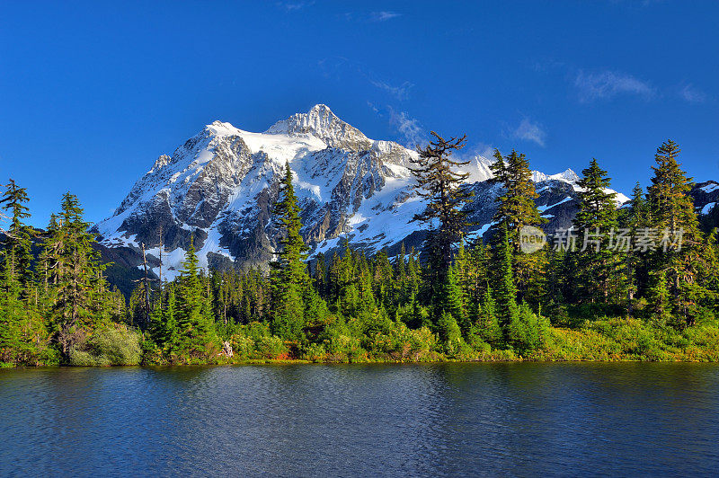 太Shuksan (HDR)